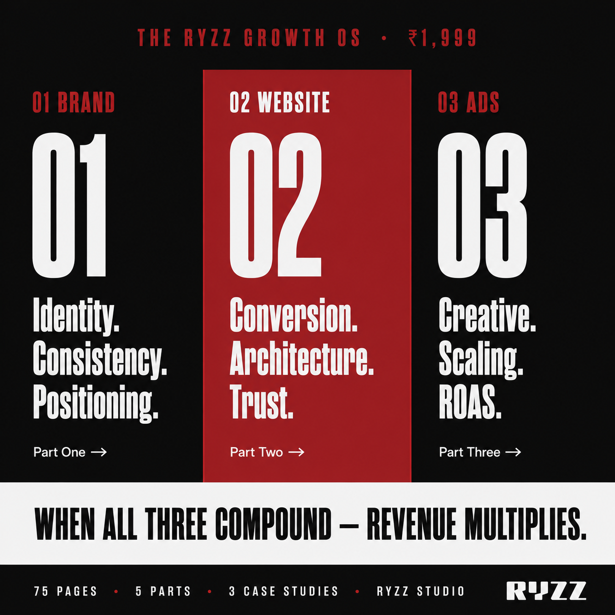 The RYZZ Growth OS - The Complete Brand, Website & Ads  Operating System for D2C Founders